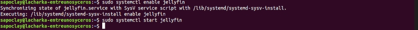 starting the media server